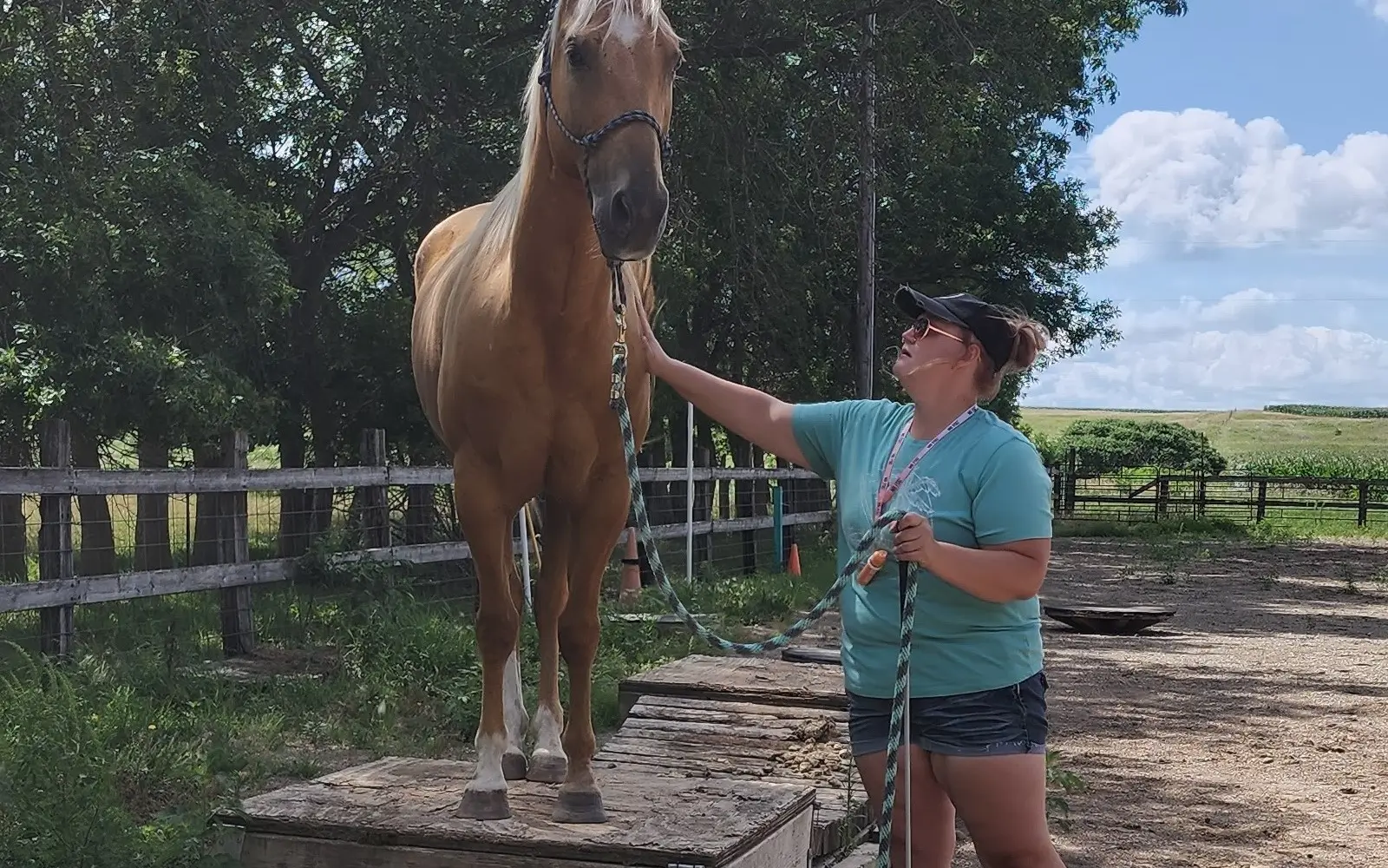 Founder with her horse