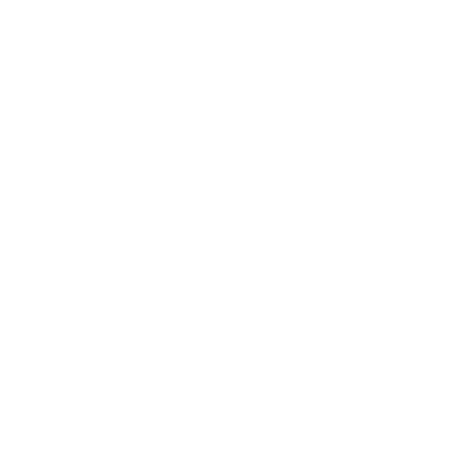 Core Kinetic Equine Logo