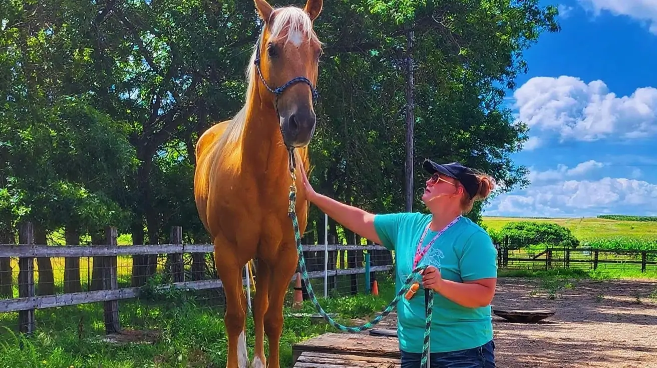 Hero background image of a horse