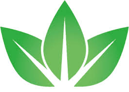 Trivita