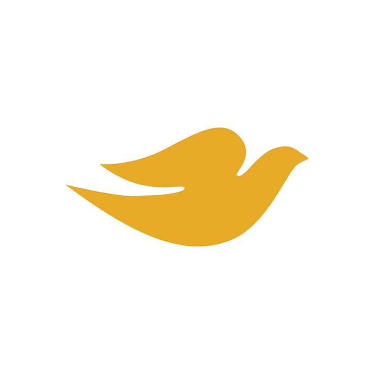 Dove Self-Esteem Project