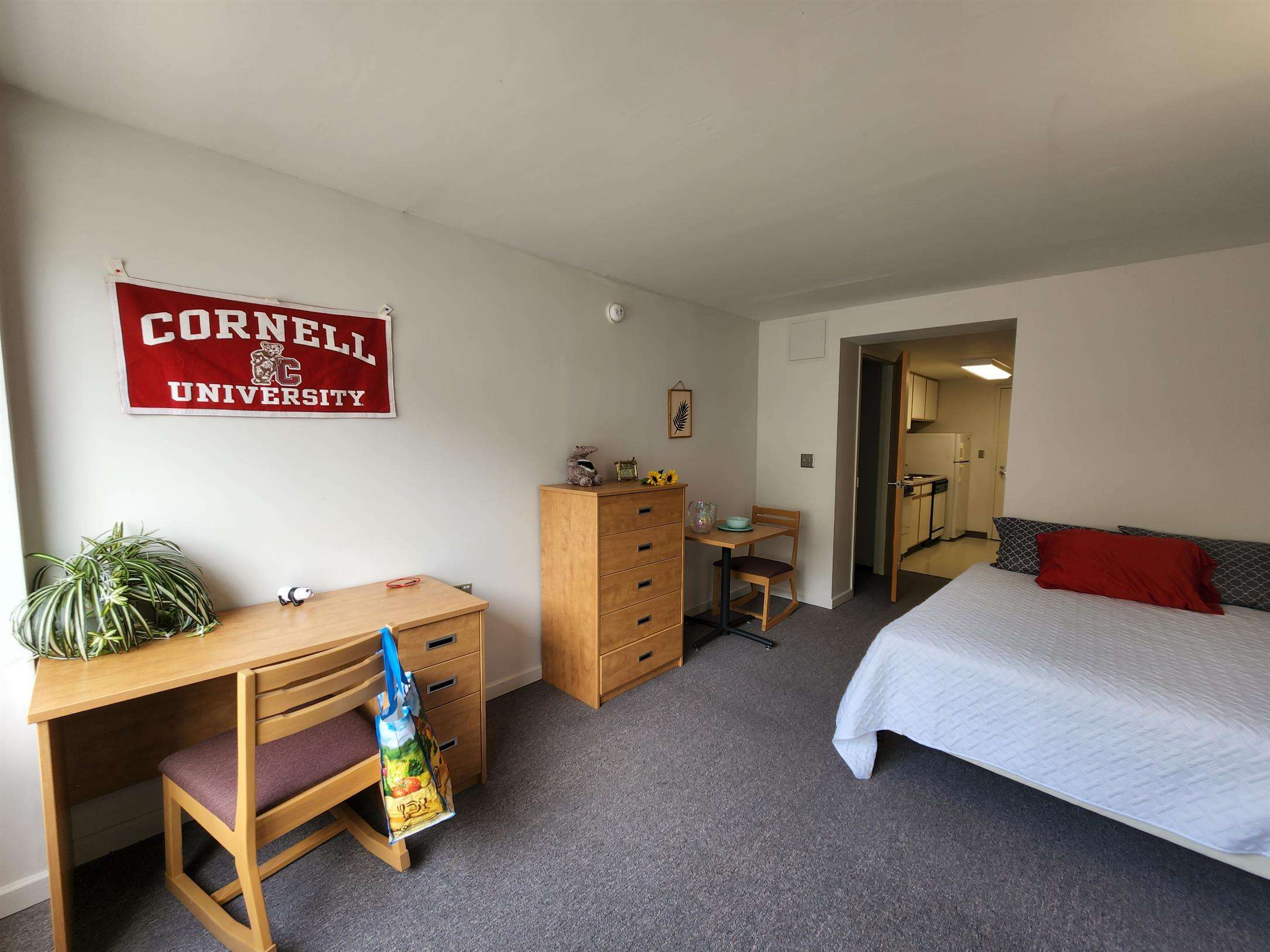 studio at 151 Dryden Road, Ithaca, NY, USA