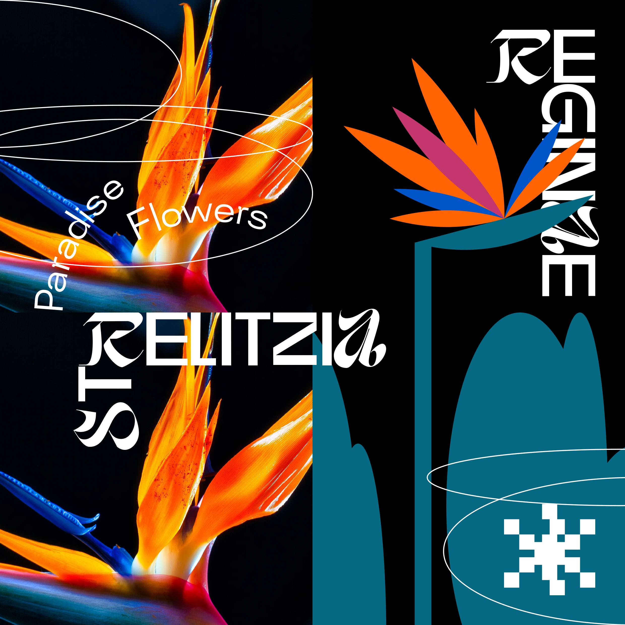 Yedio project thumbnail