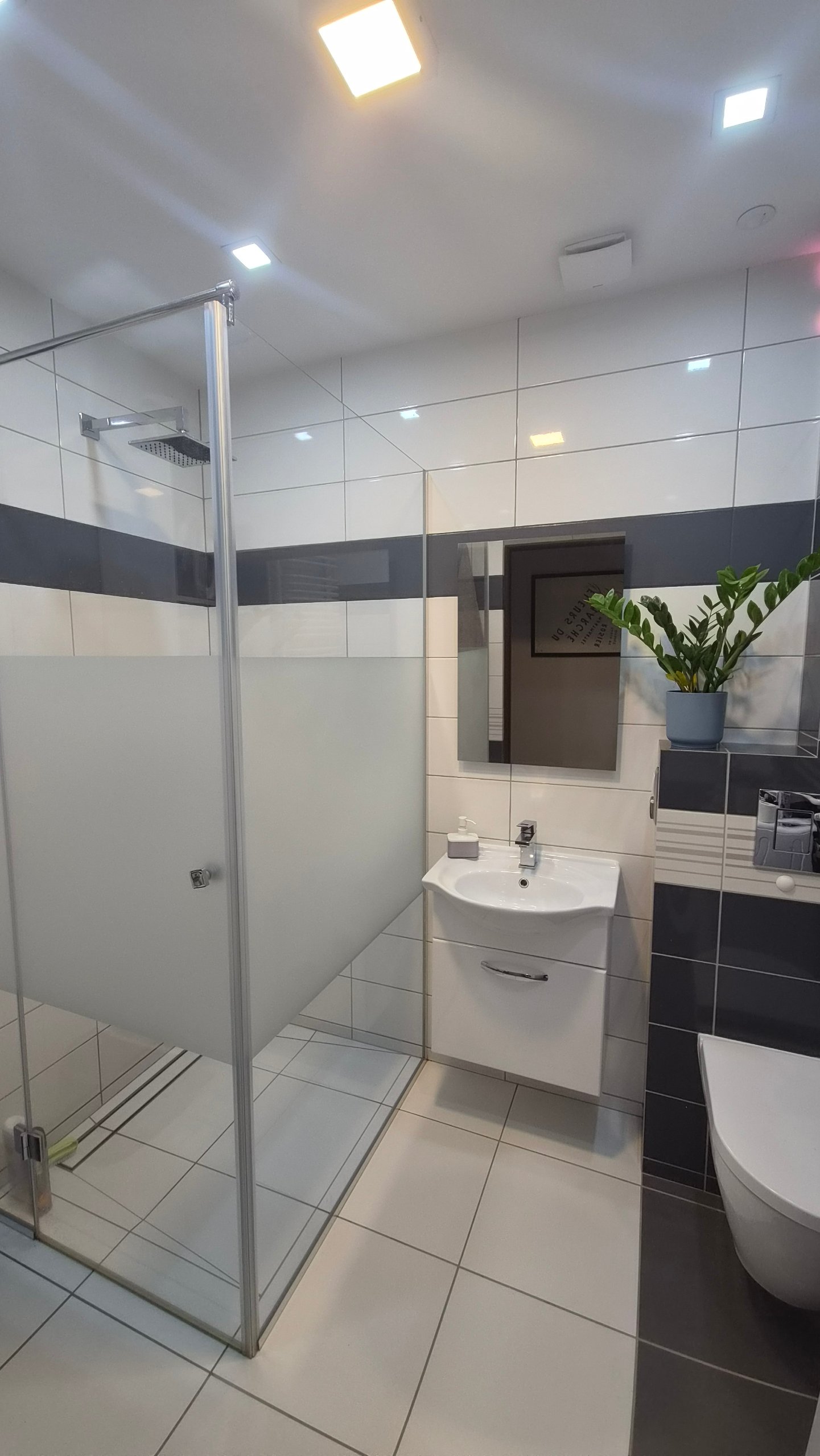 Łazienka z kabiną prysznicową, umywalką z lustrem i WC