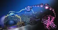Messenger RNA, this new hero