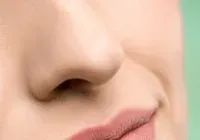 The power of olfactory memory