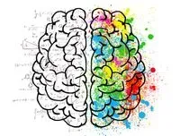 La clave para desbaratar los neuromitos