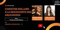 À la découverte des arachnides