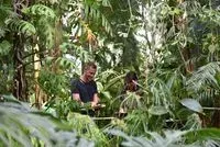 Automne tropical - Carnet de voyage en Guyane