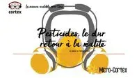 Pesticides, le dur retour à la réalité