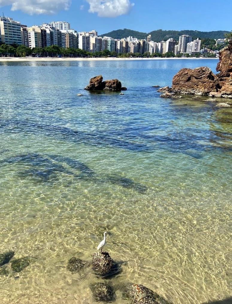 Natureza – Niterói