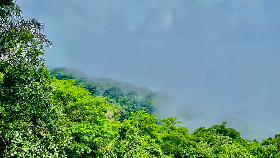 Natureza – Niterói