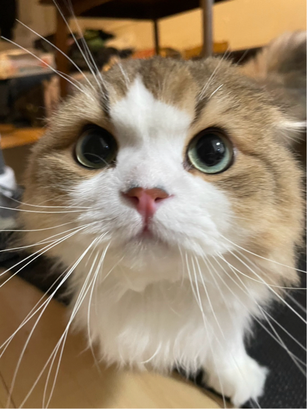 大城さんさんのプロフィール写真