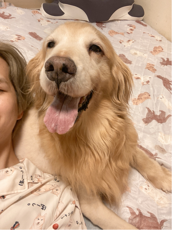 橋本さんが飼っているロール（犬）