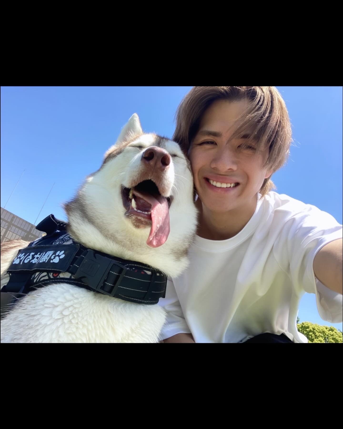 橋本さんのプロフィール写真