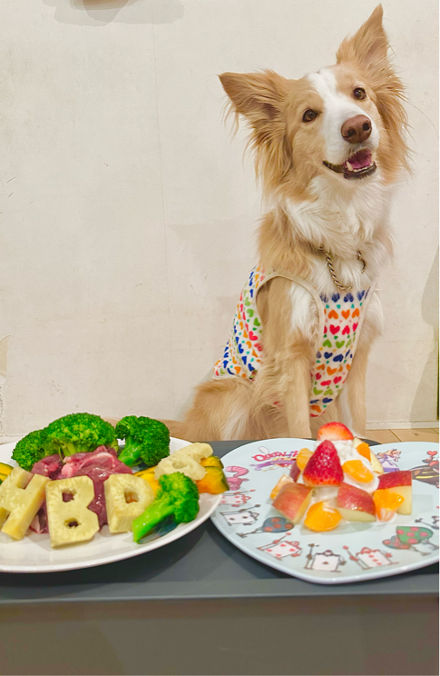 渡部さんが飼っているA♯（犬）