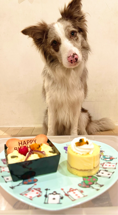 渡部さんが飼っているE♭（犬）