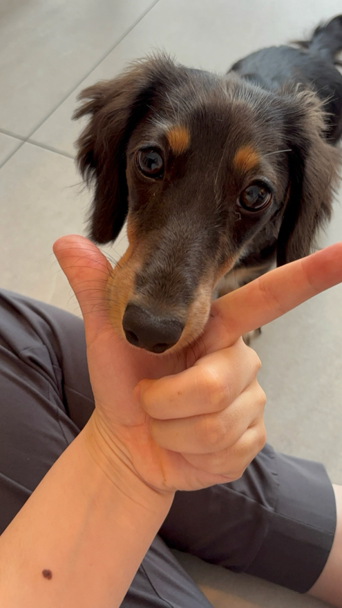 村野さんが飼っているリア（犬）