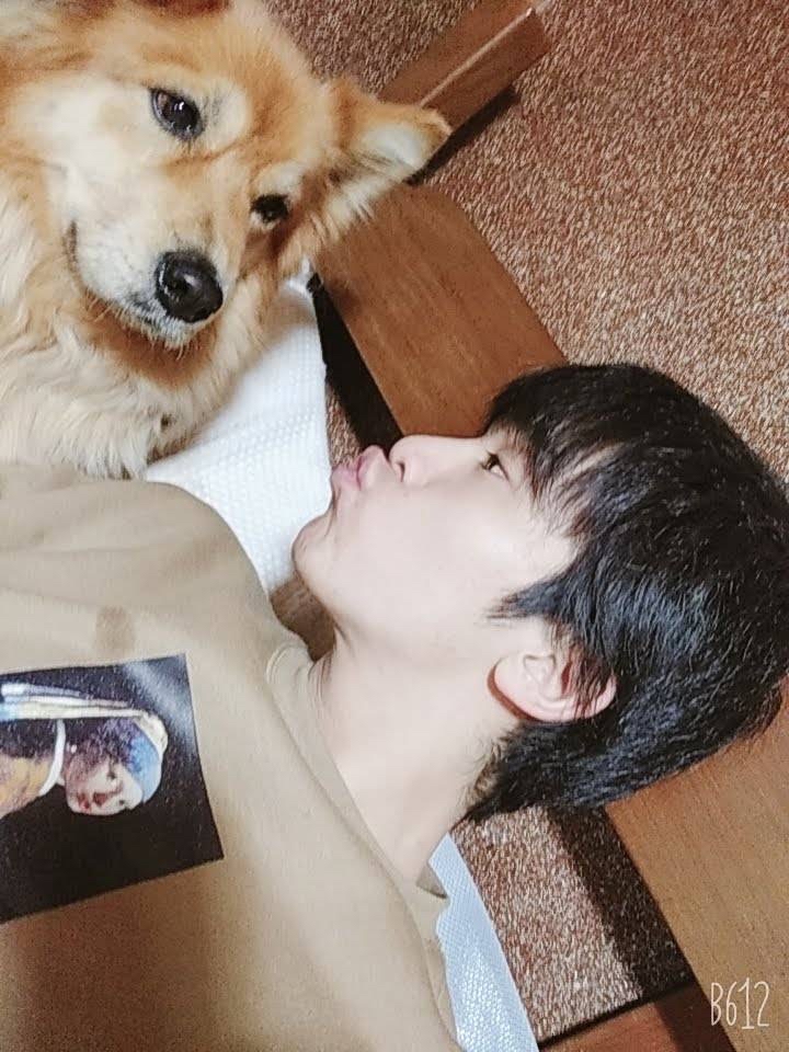 深田さんが飼っている茶々（犬）