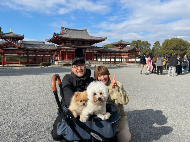 谷村さんさんのプロフィール写真