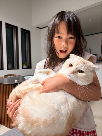 角本さんが飼っているこむぎ（猫）