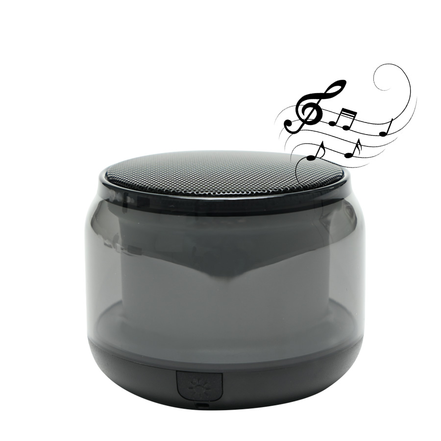 Parlante Altavoz Bluetooth «FLASH»