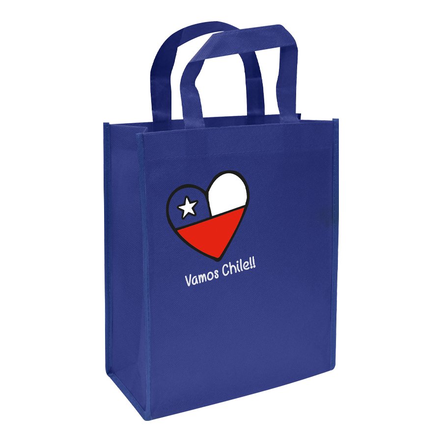 Bolsa TNT Vamos Chile — vista 3 · GF Group