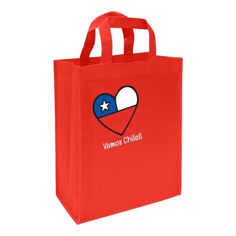Bolsa TNT Vamos Chile — vista 4 · GF Group