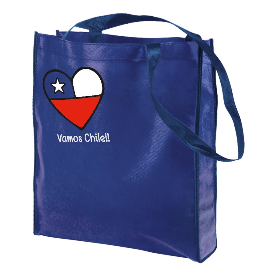 Bolsa TNT Vamos Chile — vista 3 · GF Group
