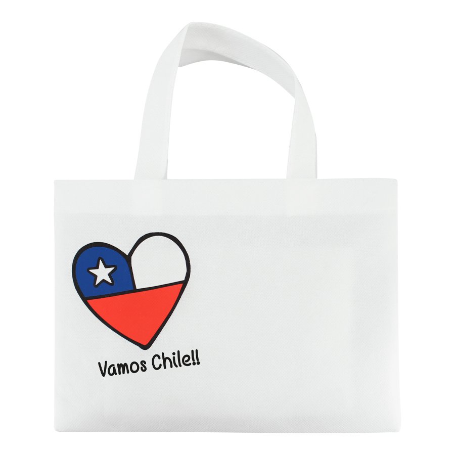 Bolsa TNT Vamos Chile — vista 3 · GF Group