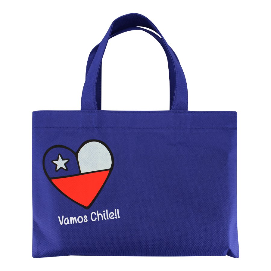 Bolsa TNT Vamos Chile — vista 2 · GF Group
