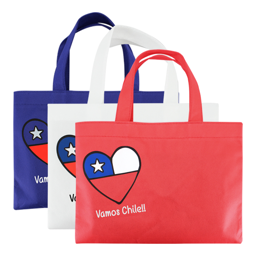 Bolsa TNT Vamos Chile — Bolsas · GF Group