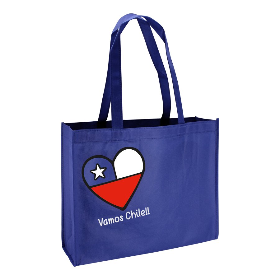 Bolsa TNT Vamos Chile — vista 3 · GF Group