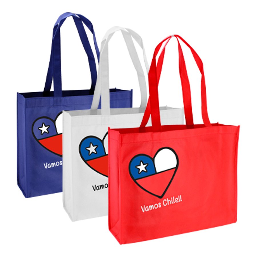 Bolsa TNT Vamos Chile · GF Group