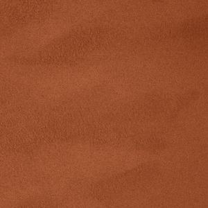 Cinnamon