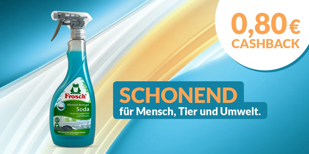 Frosch Reinigungsmittel