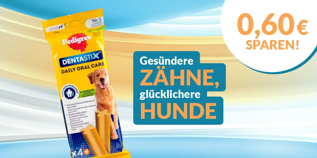 Tägliche Zahnpflege für deinen Hund
