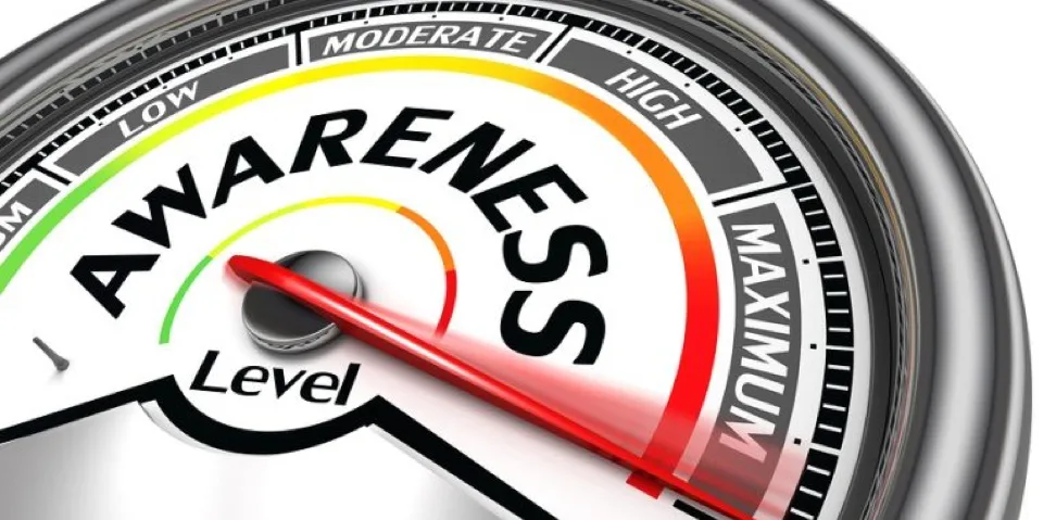 Tactical Awareness: Professional Surveillance and Field Operations