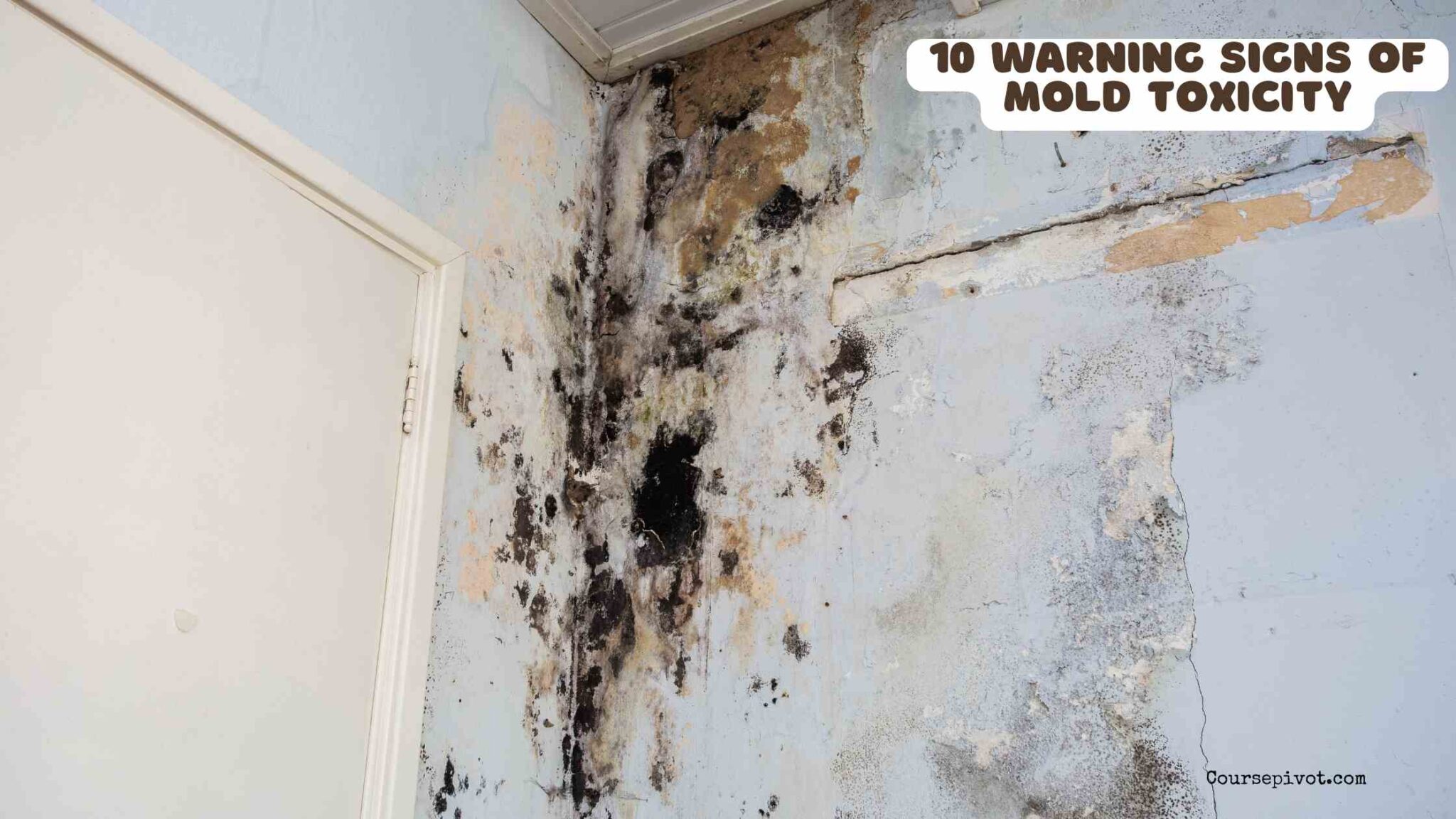 Close-up of mold growing on a wall surface inside a home
