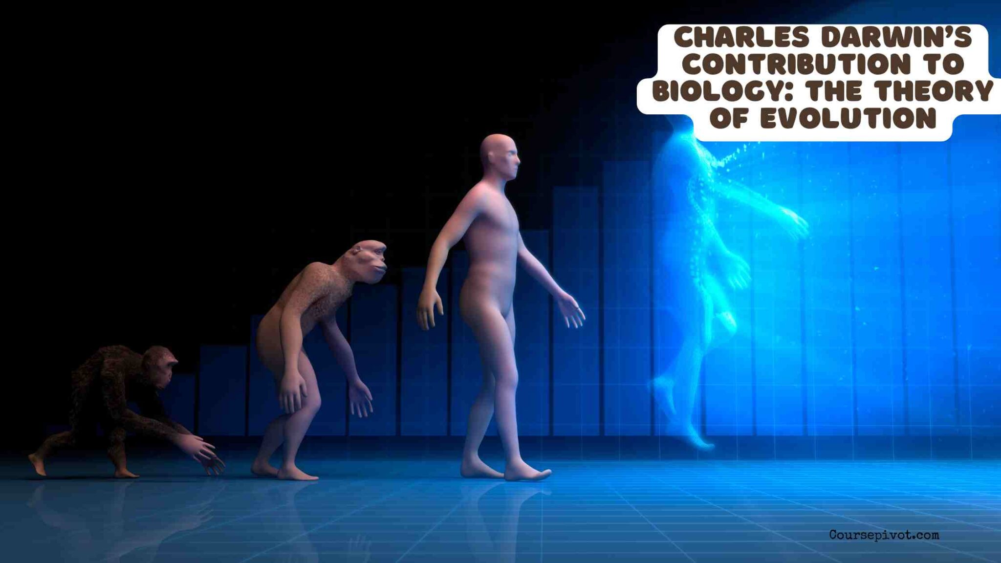 Charles Darwin and illustrations of species related to evolution