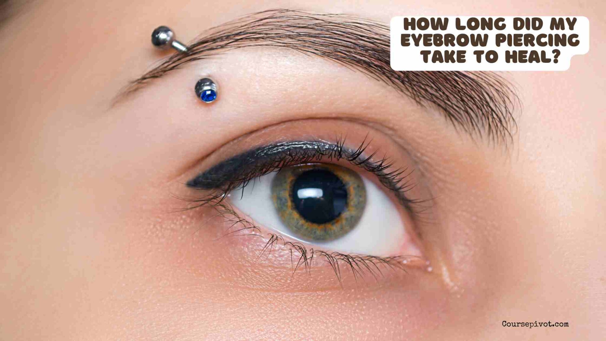 Close-up of an eyebrow piercing during the healing period