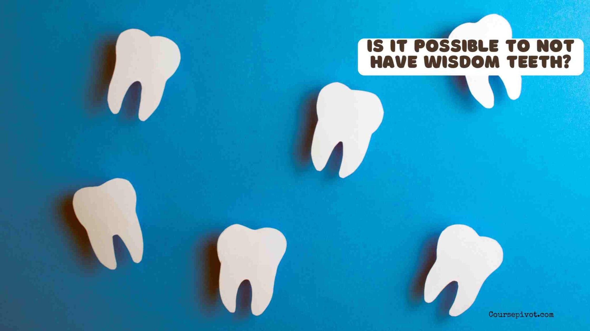 Dental X-ray showing the back molar area where wisdom teeth may develop