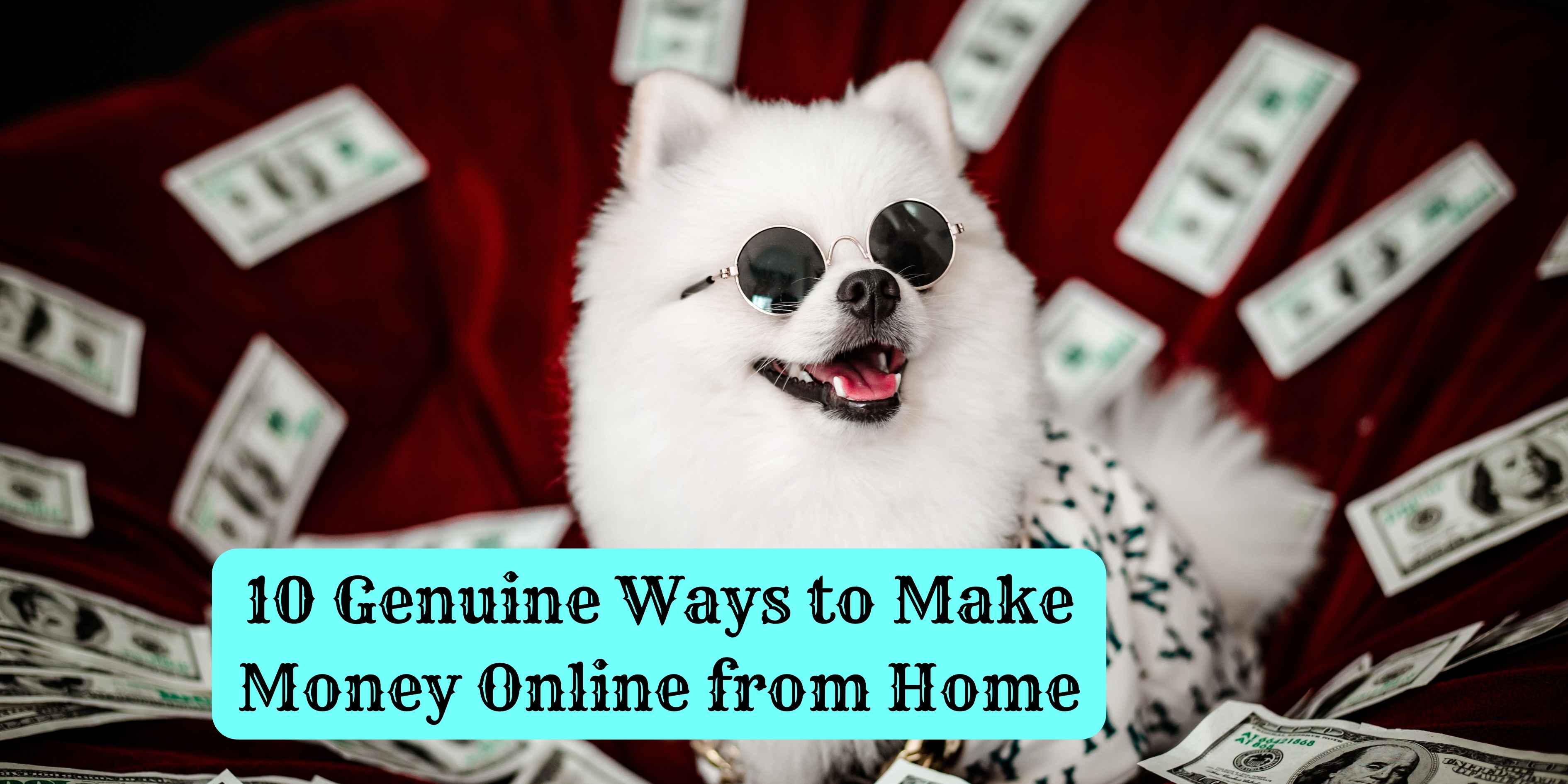 10 Genuine Ways to Make Money Online from Home