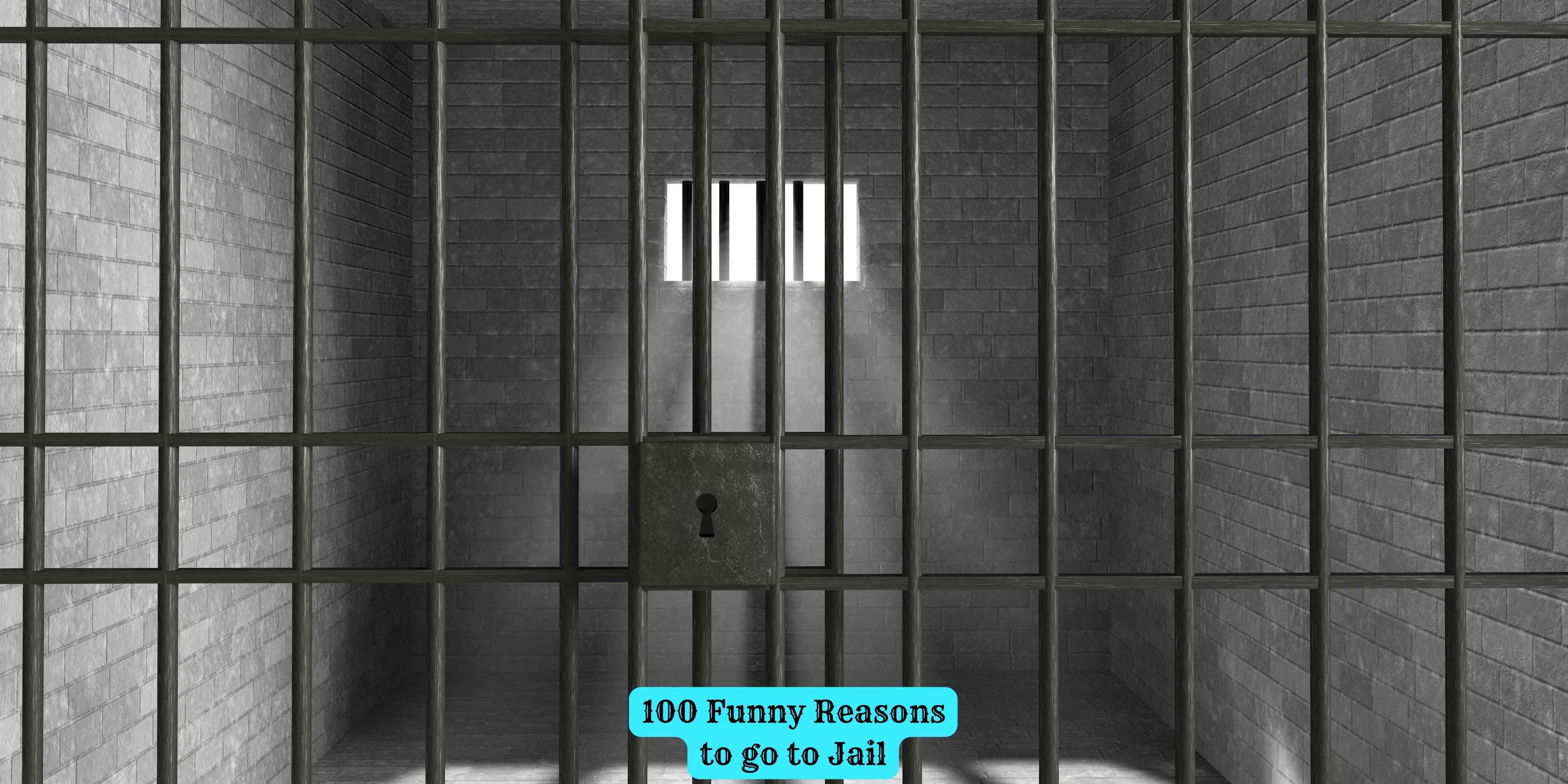100 Funny Reasons to go to Jail