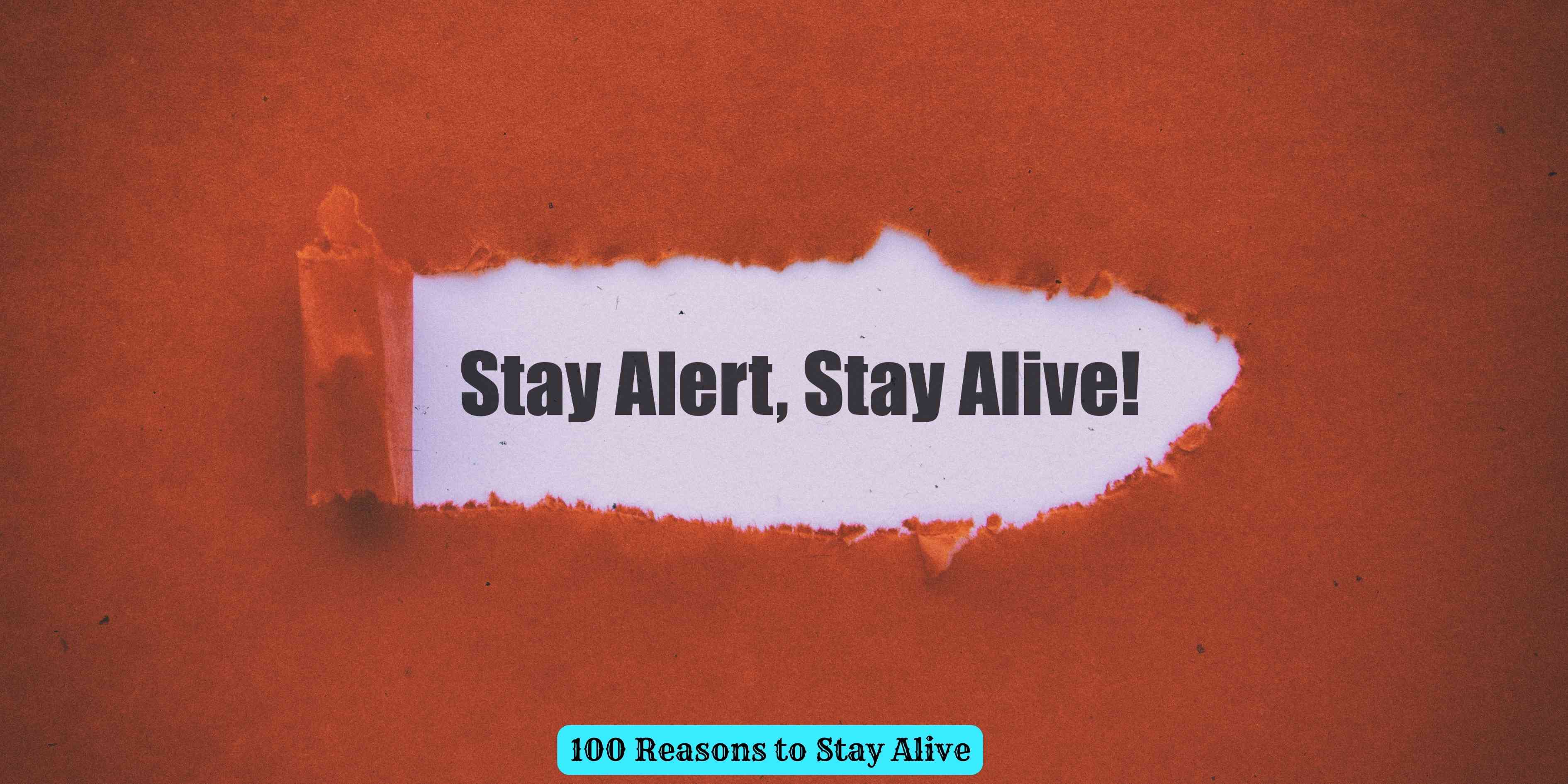 100 Reasons to Stay Alive
