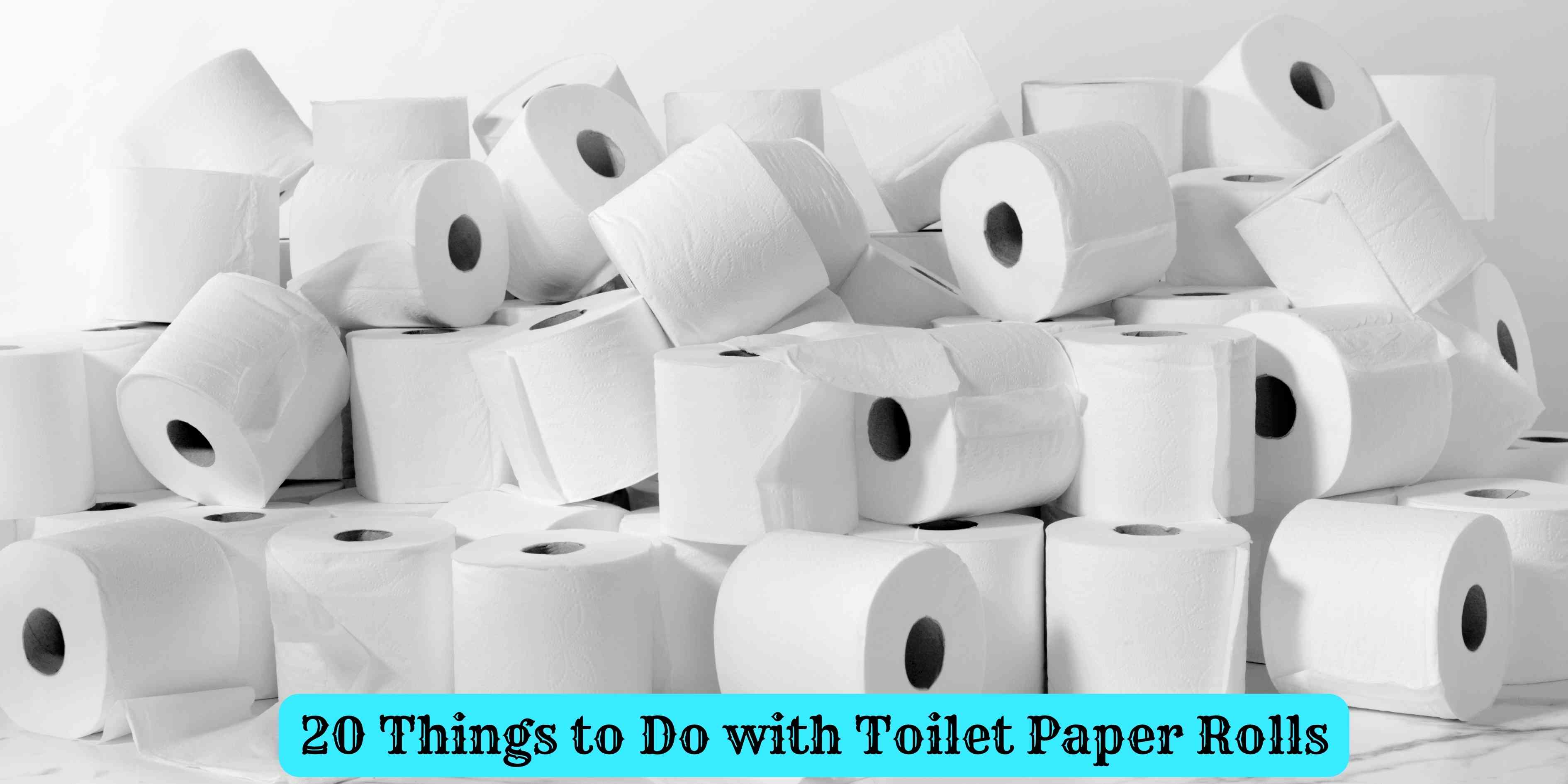 20 Things to Do with Toilet Paper Rolls