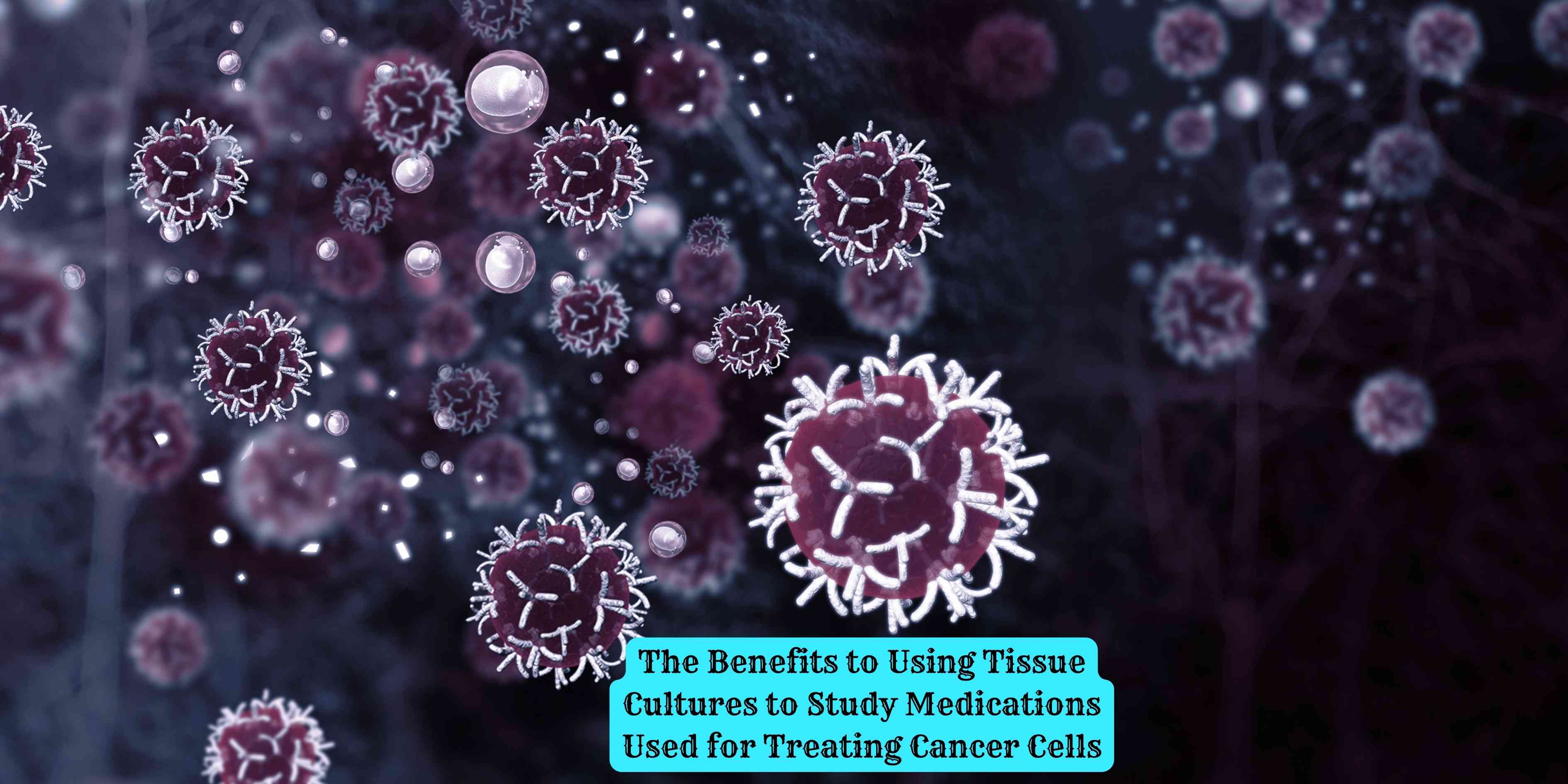 The Benefits to Using Tissue Cultures to Study Medications Used for Treating Cancer Cells