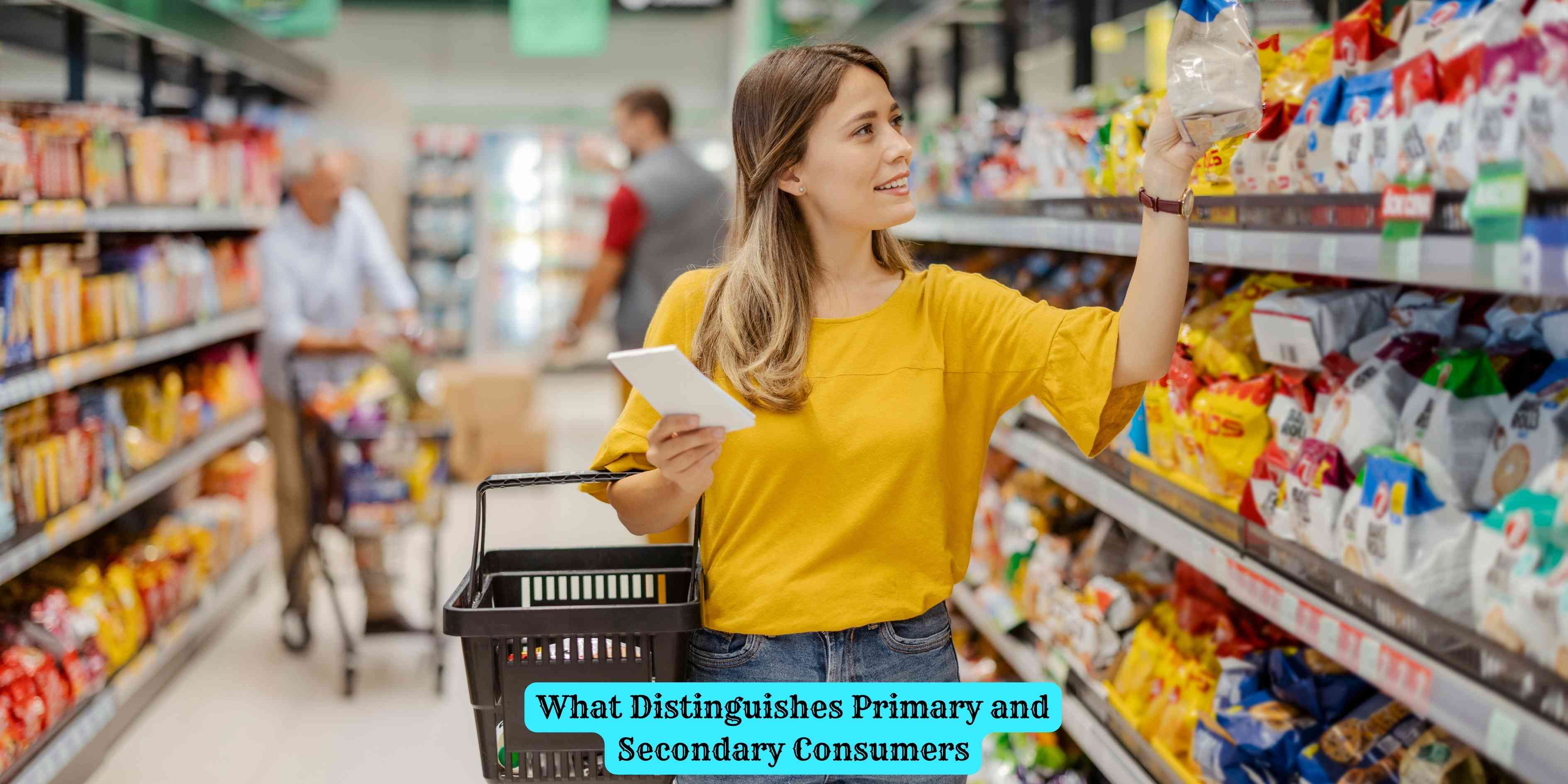 What Distinguishes Primary and Secondary Consumers
