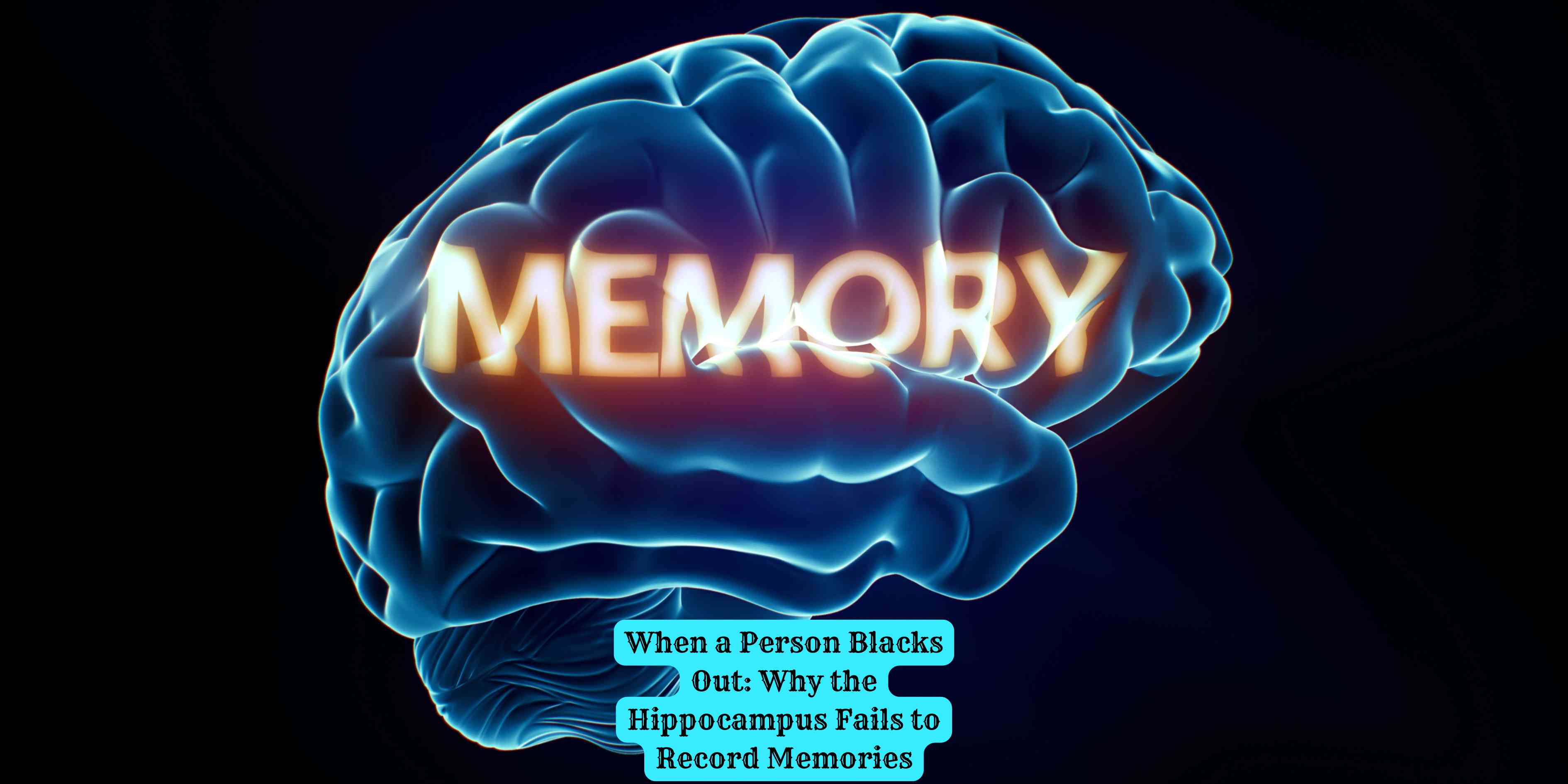 When a Person Blacks Out: Why the Hippocampus Fails to Record Memories