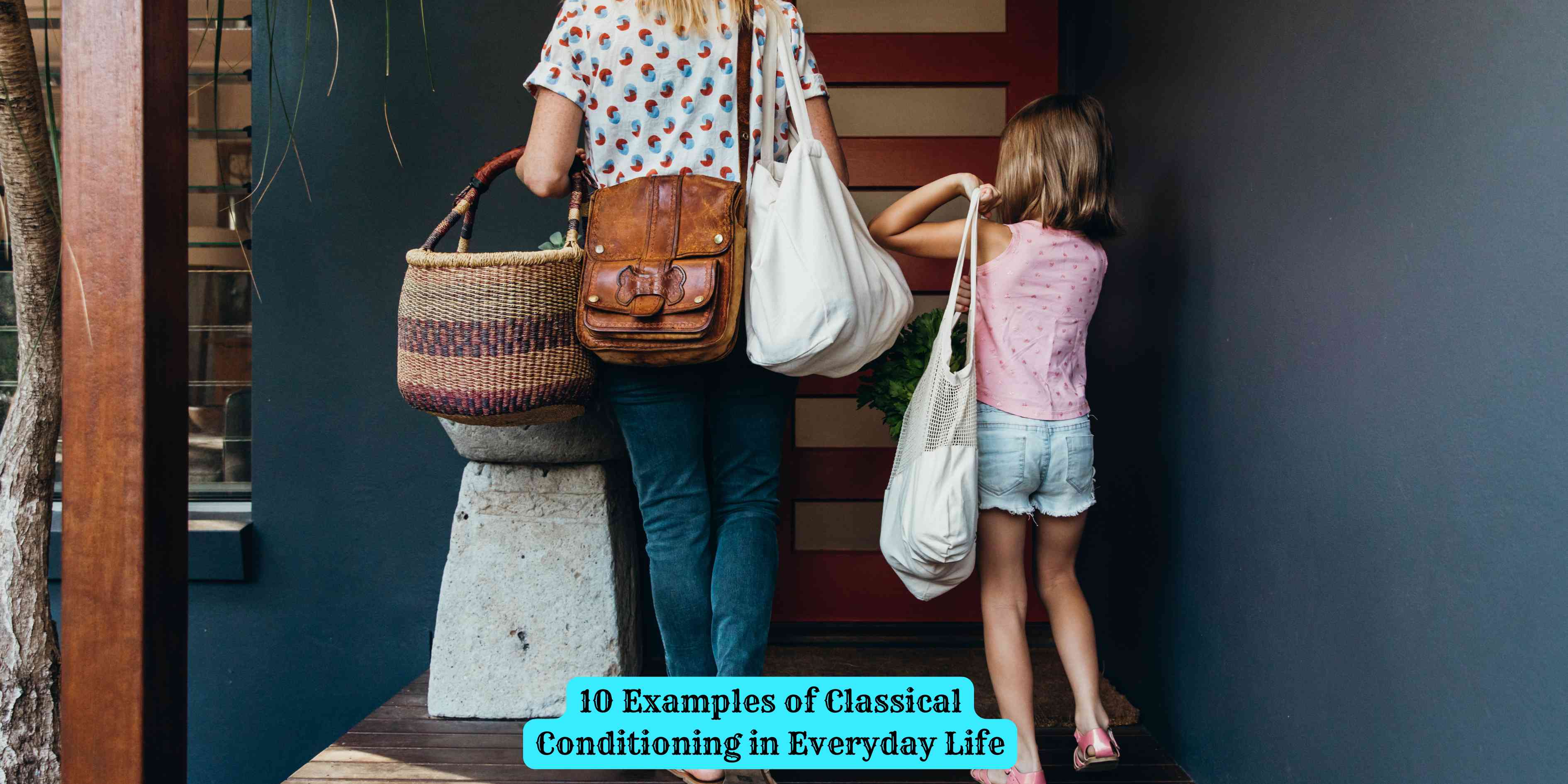10 Examples of Classical Conditioning in Everyday Life